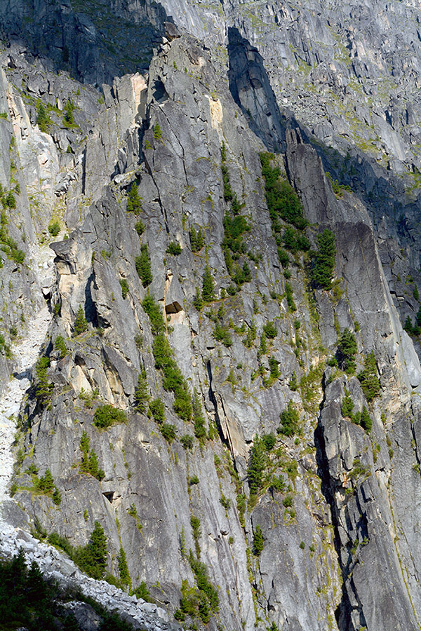 ��������� ��� ������