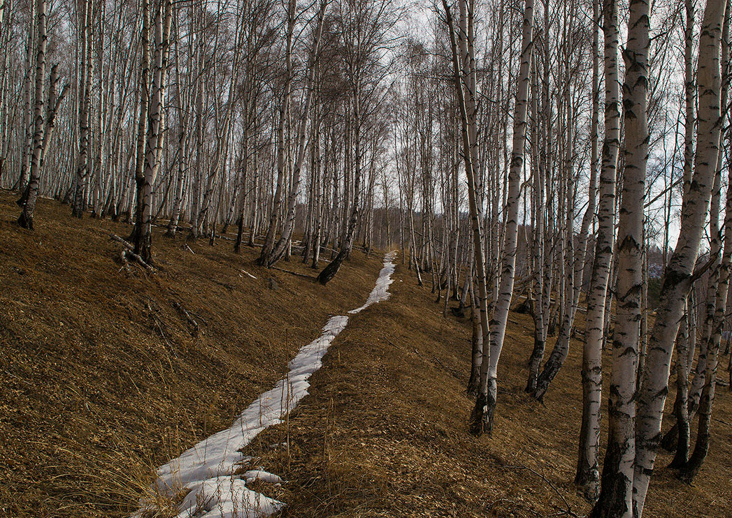 �������� ���