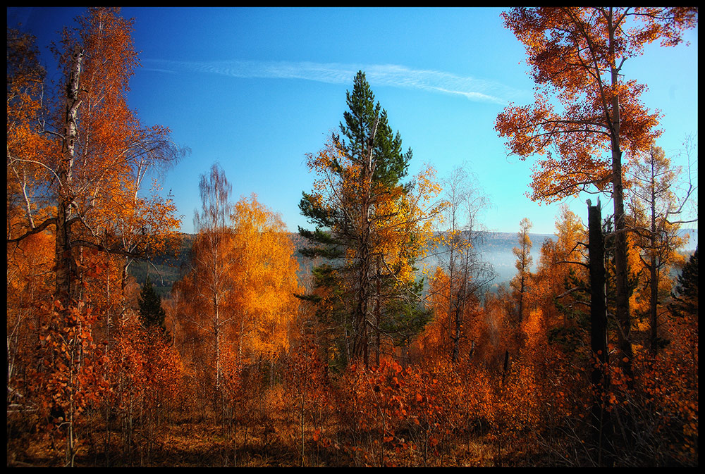 ������ �����