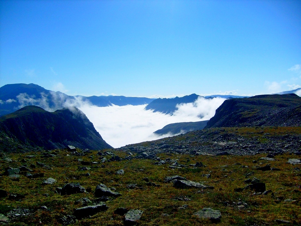 ��� ��������