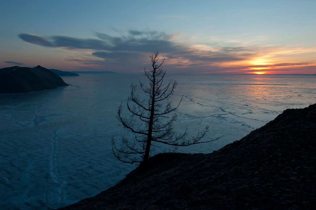 � ������ ��������