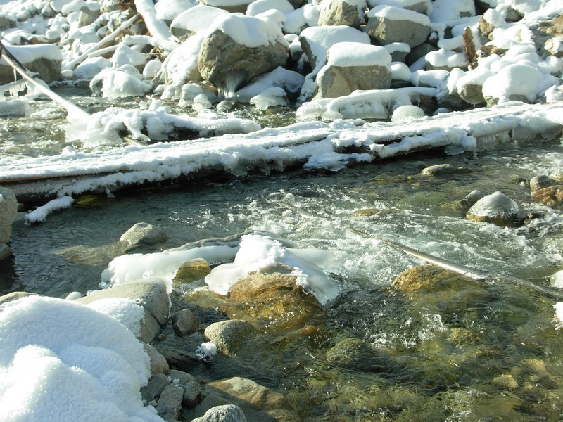 ����� ��������