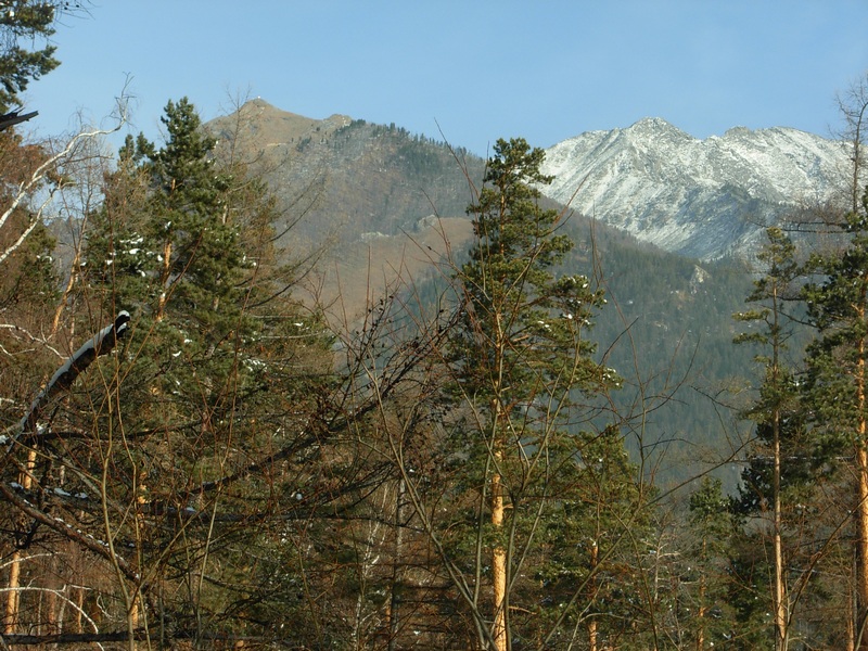 ��� ��-�� �������� �� ���� ����� � ������