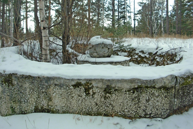 ������ ������