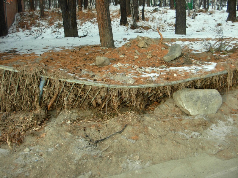 ����� ���� �������� �� ������ �������