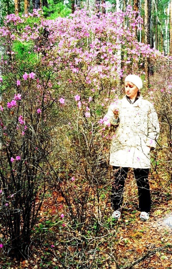 ��� ���� "����������"