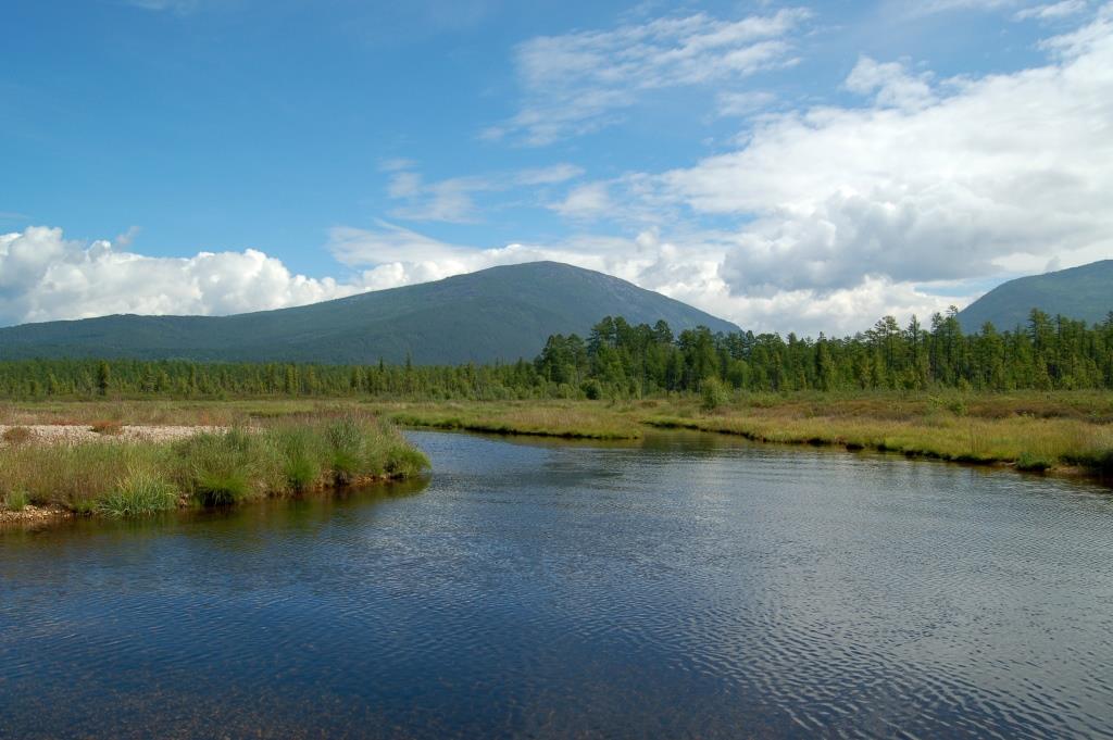 Бирая