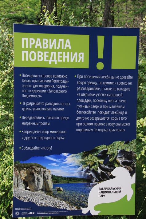 Правила поведения у лежбища нерп