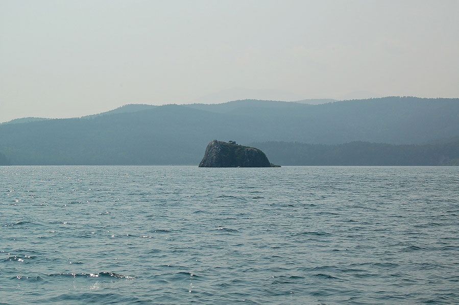 Купающийся слон