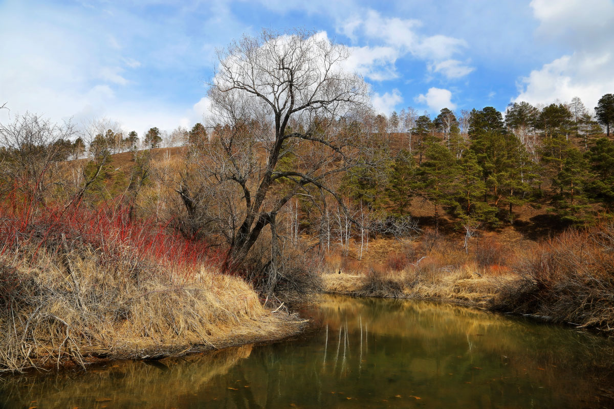 �� ������ ��� �������