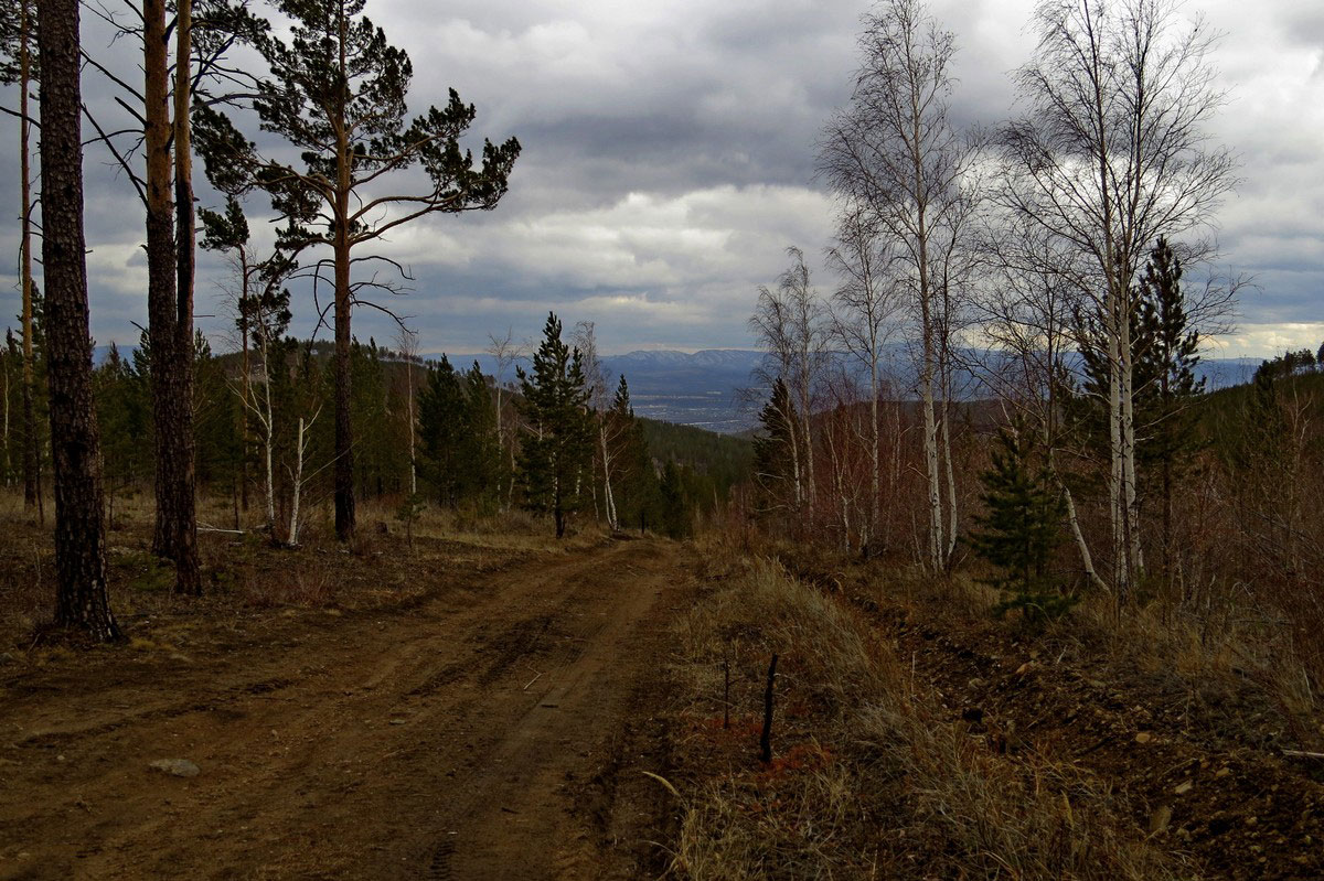 �� ������ �������