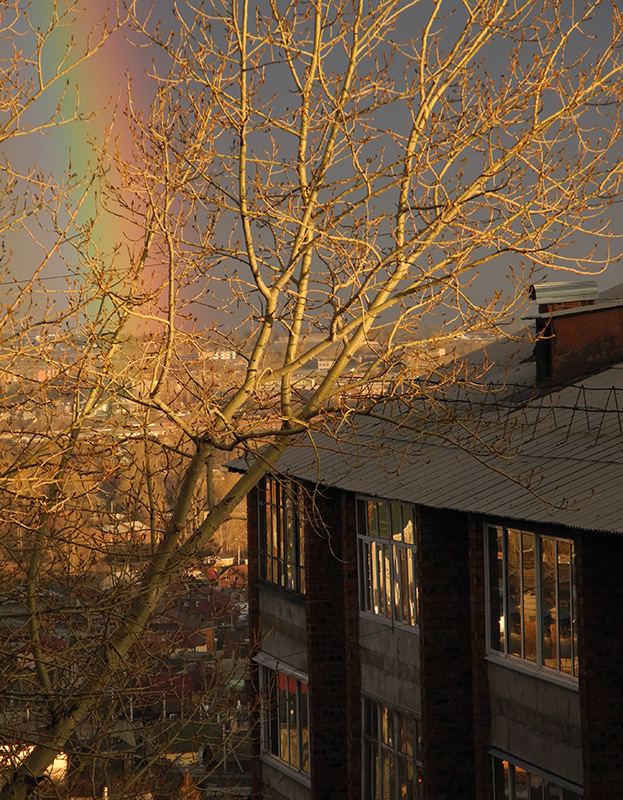 ������ ����������� � ����