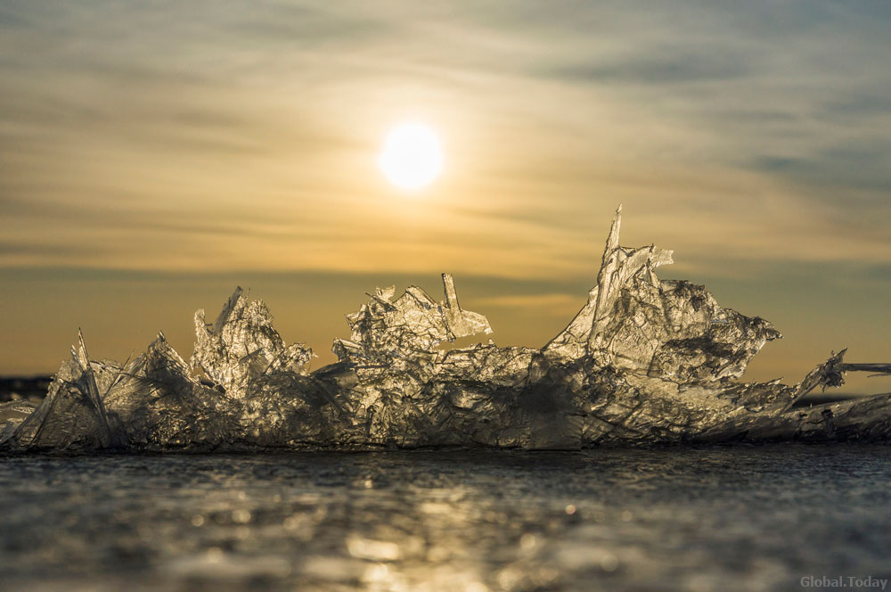 ������������� �������