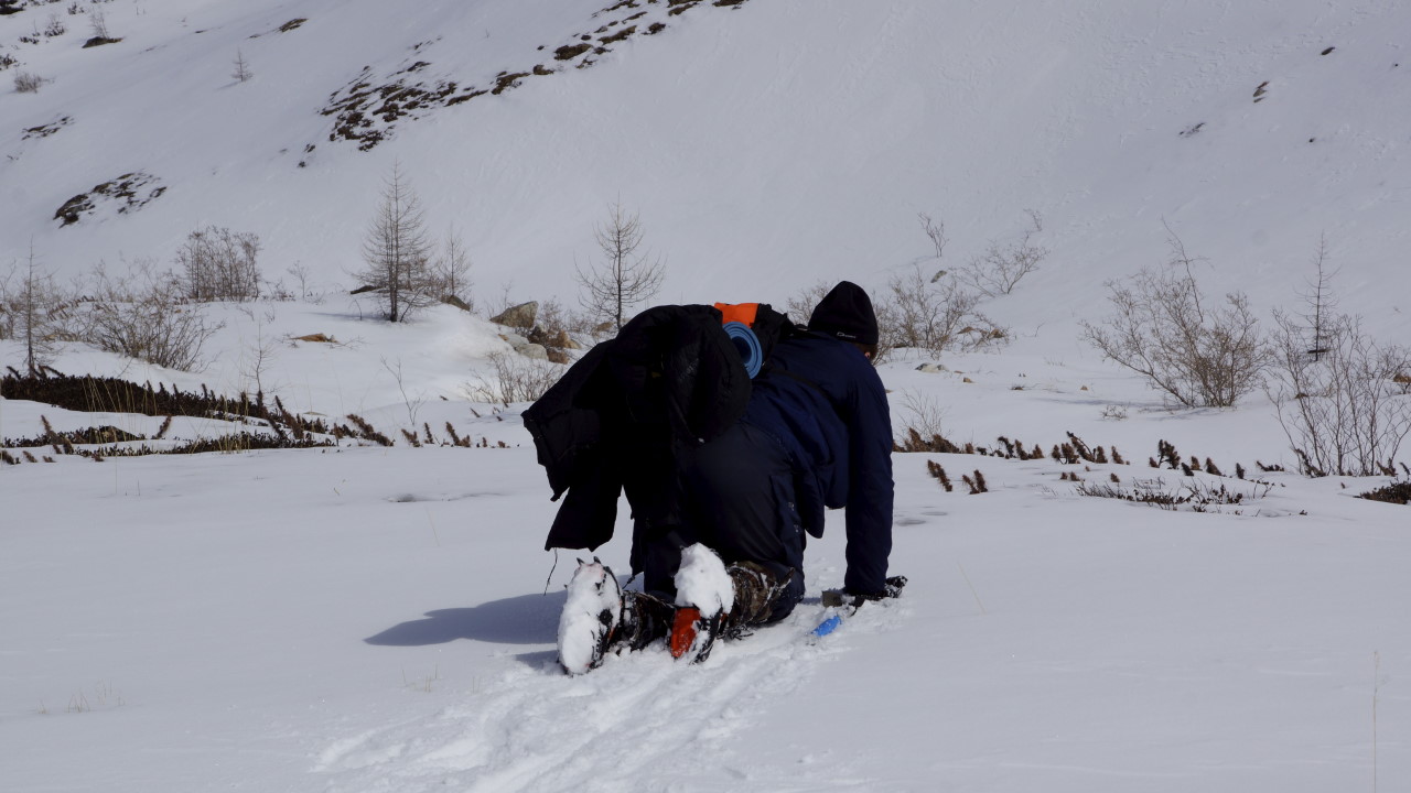 Homo turisto- ������������