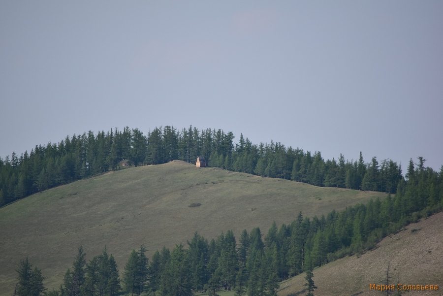 ��� �� ���?