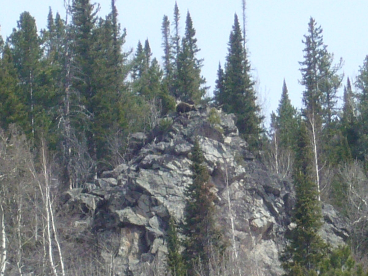 ������� �� �����