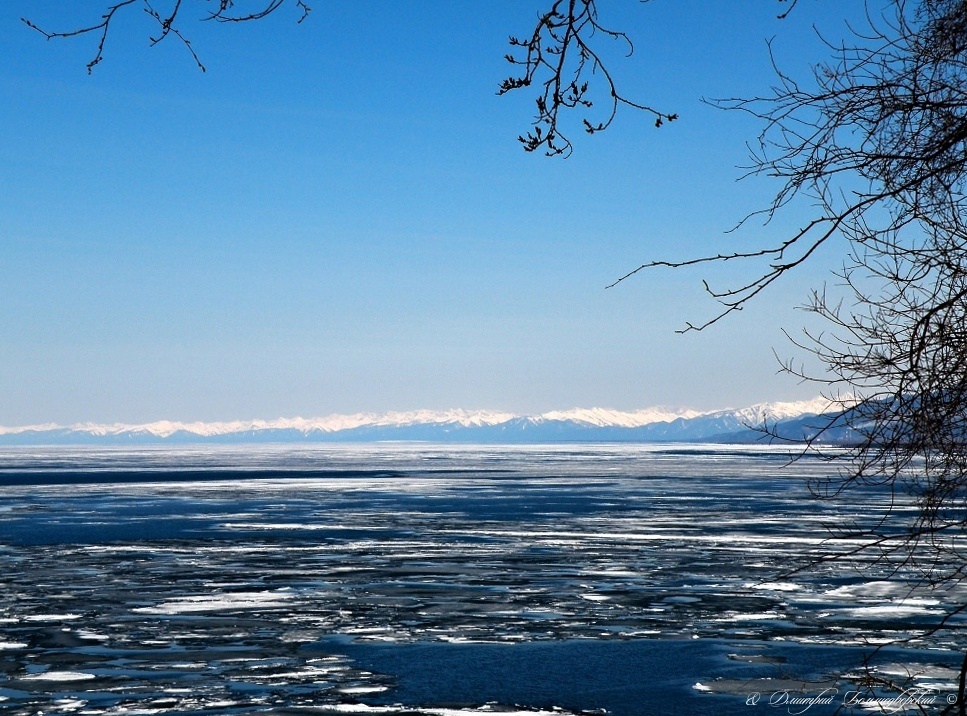 ��������� ��