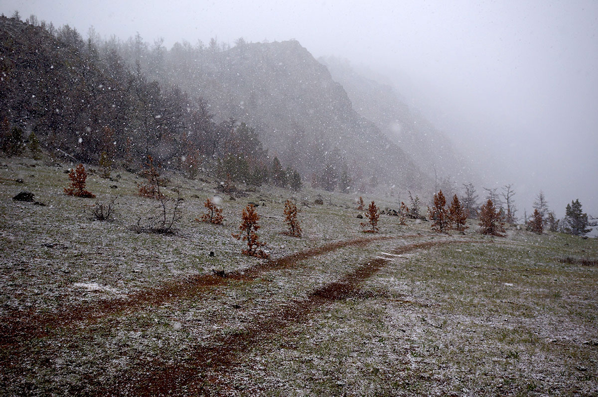 �������� ������ �� ������� �������