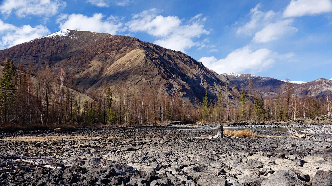 ������� ����