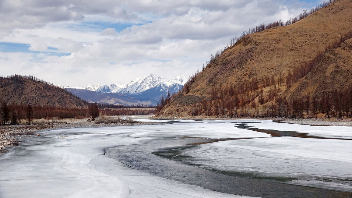 ������� ����� ����������