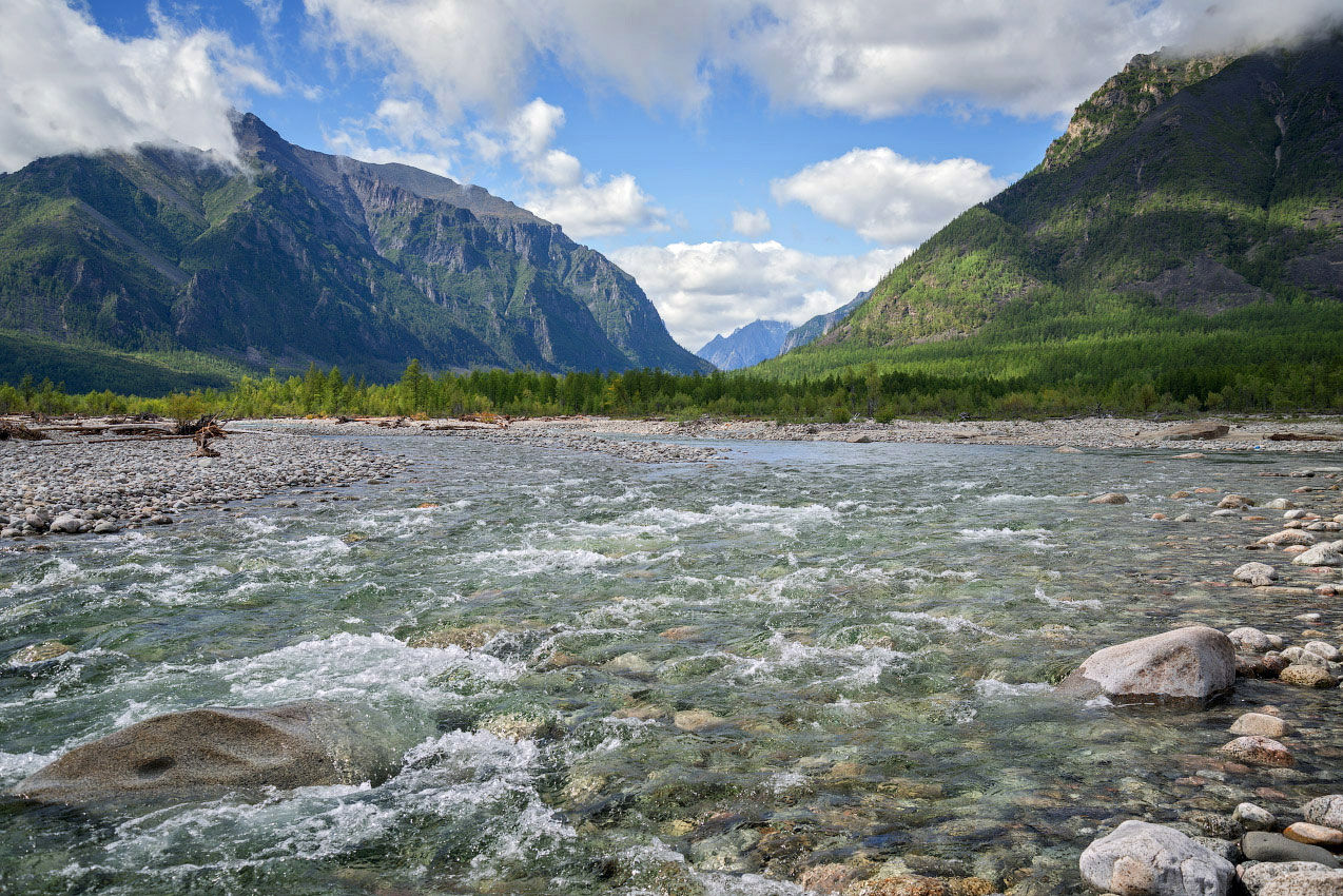 ������� ������� ����� �� ������