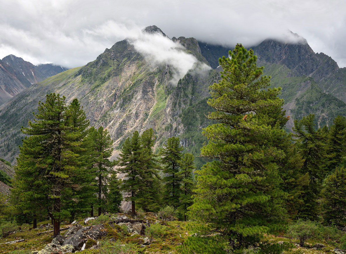 ������� ����