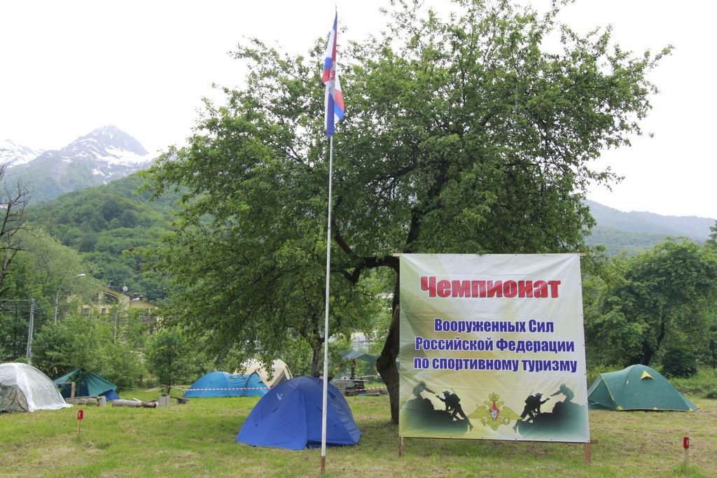       2016