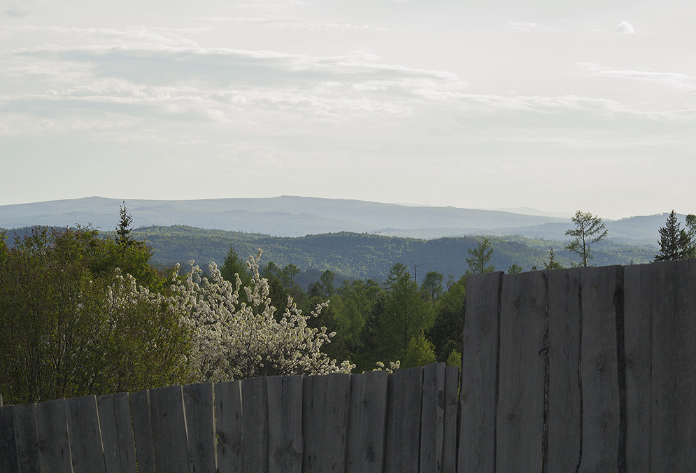 ���� �� �������� ���. ������� ��������