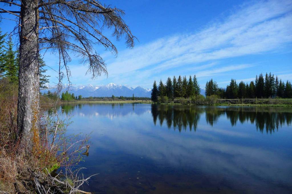 �� �������� �� �����