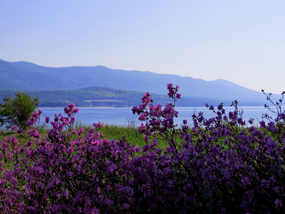 �� �������