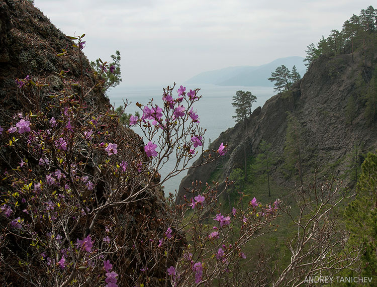 �������� ���� �� ���(1)