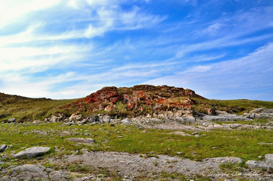 ������� �������