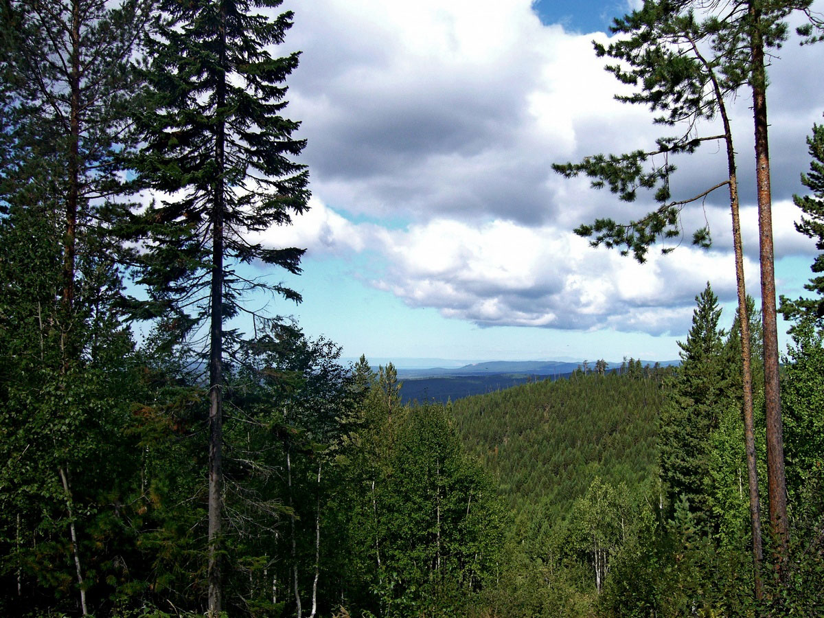 ����� ��� ��������