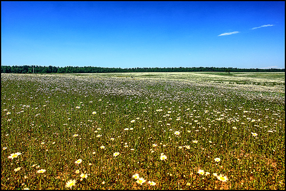 �� � ���������� ����