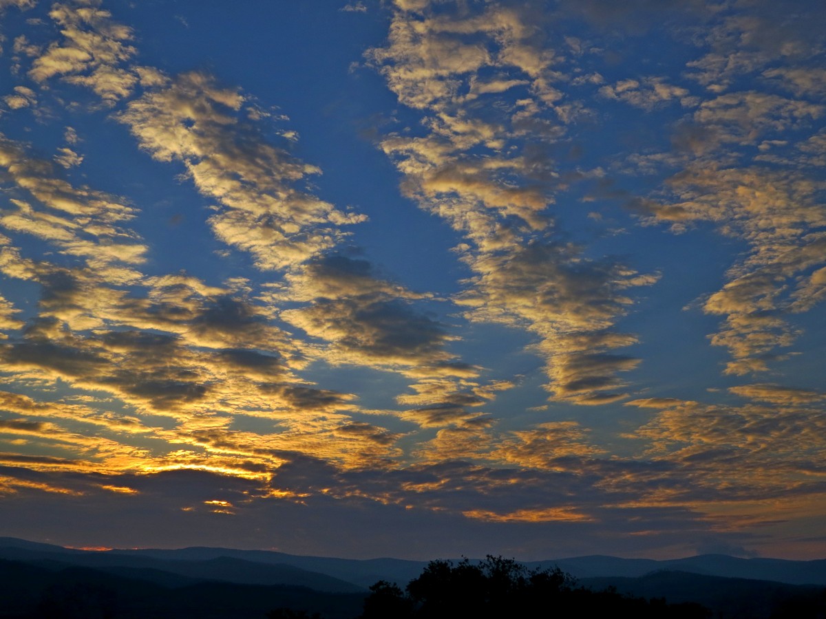 ��� �����-�������