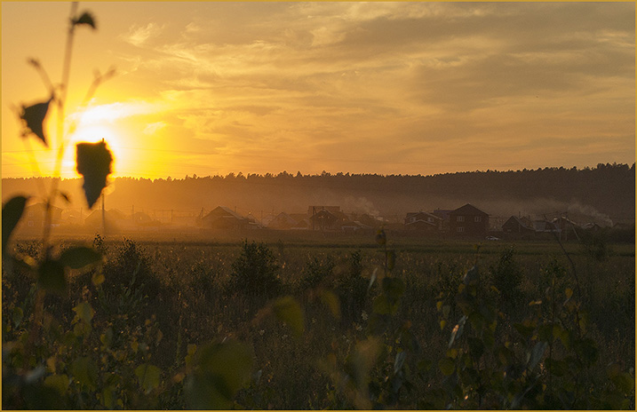 ����� �����