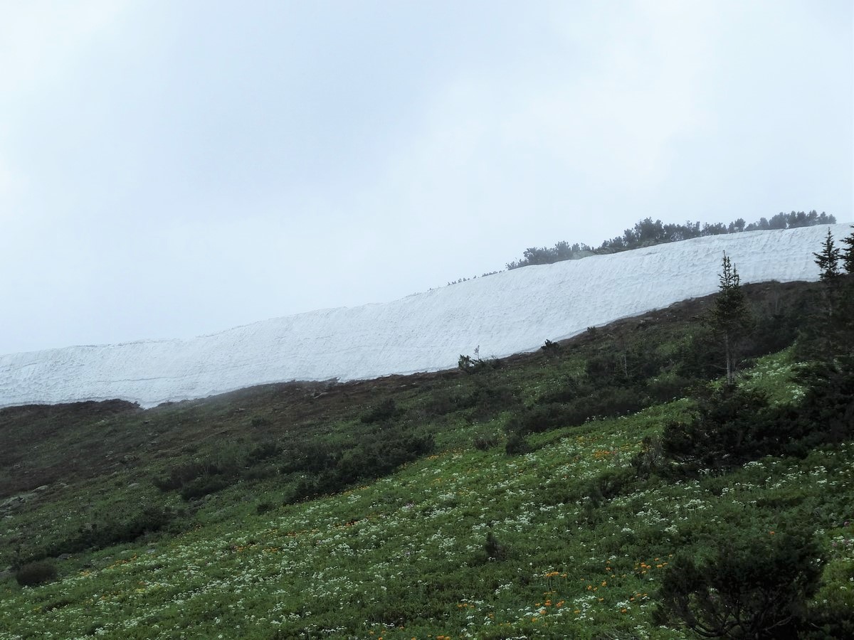 ������� �����-��������� �����