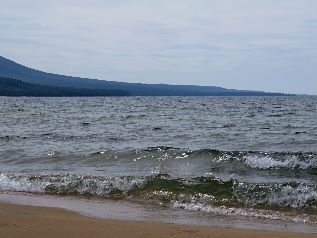 �������� ����