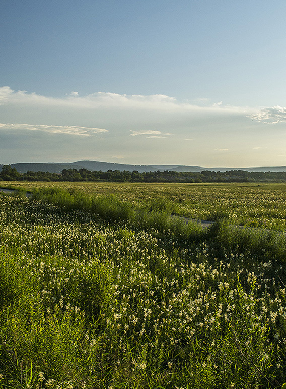 ����� ��������