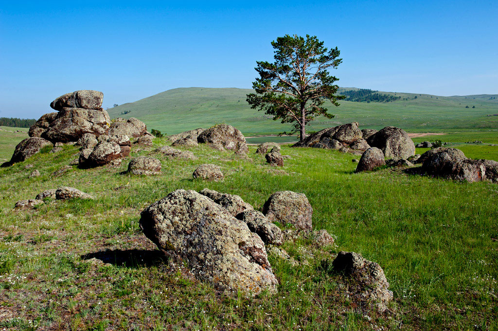 ��� ������