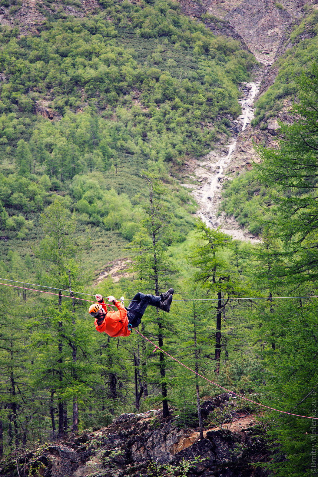 ��������� ����� ������ �� ���� �������