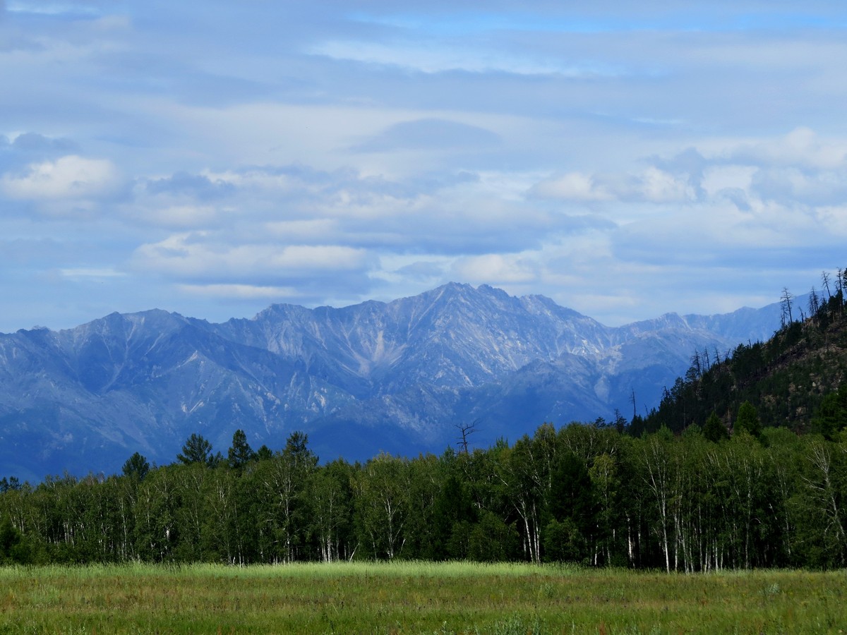 ������������ ������