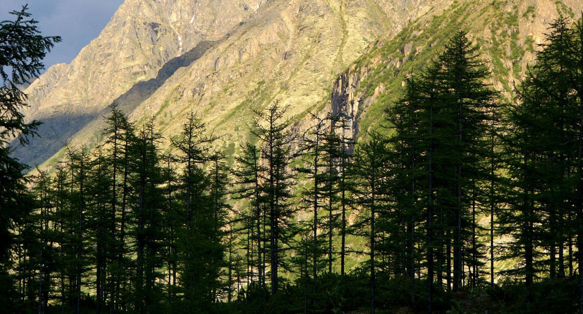 �������������