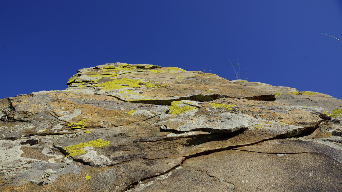 � ������ �