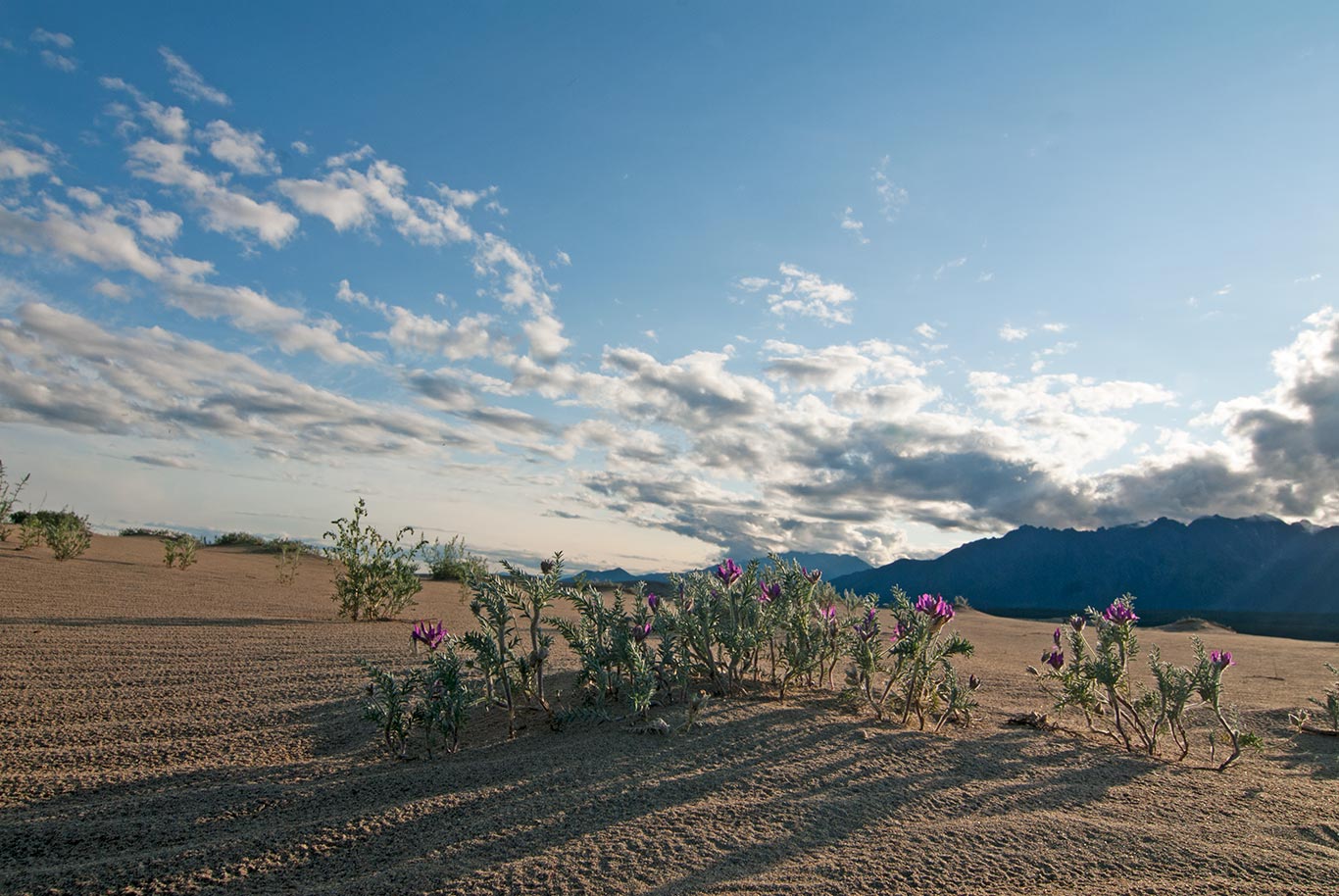 ����� ������� 2