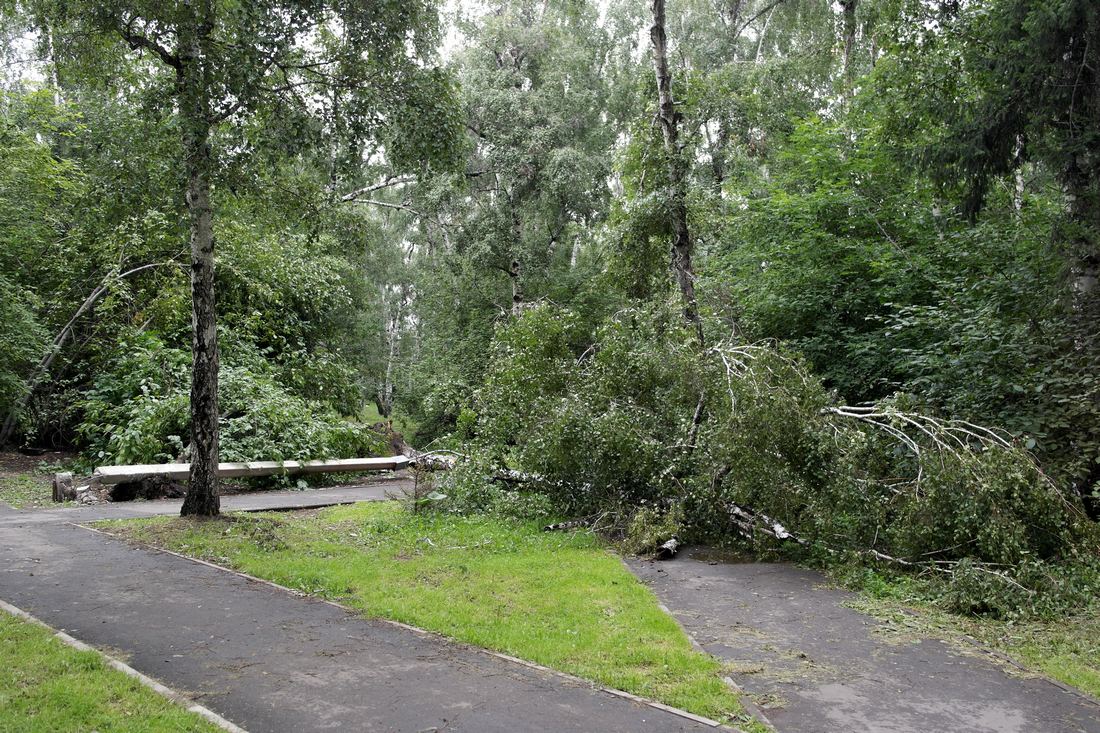 ����� ����