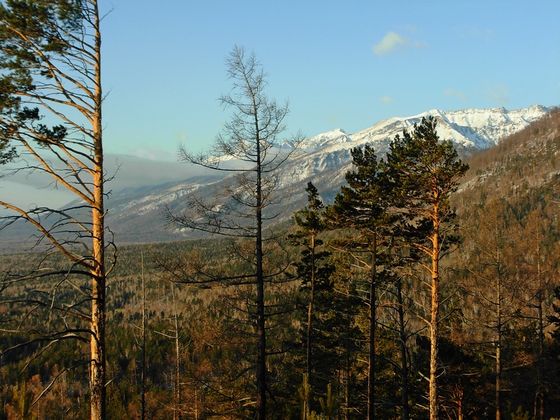 ������� �����!