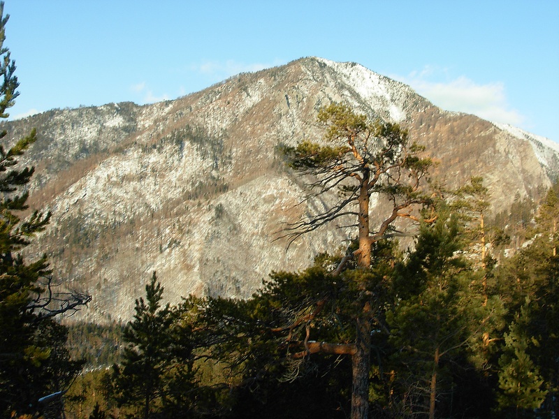 ���� �� ���������