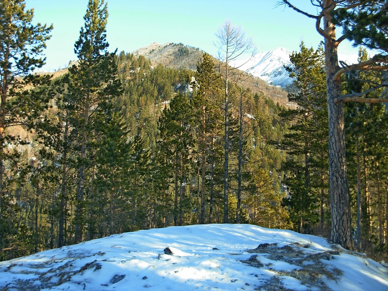 ����� ������. �� ��� ��� ������� ����