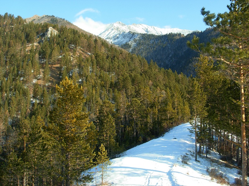 ��������� ����� ������� � ������ ������� �����. ����� ������, ������ - ������